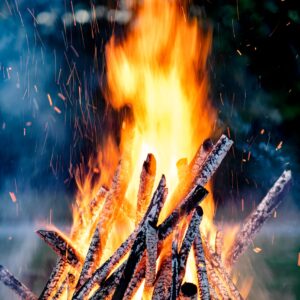 A lively campfire with bright flames and burning wood outdoors.